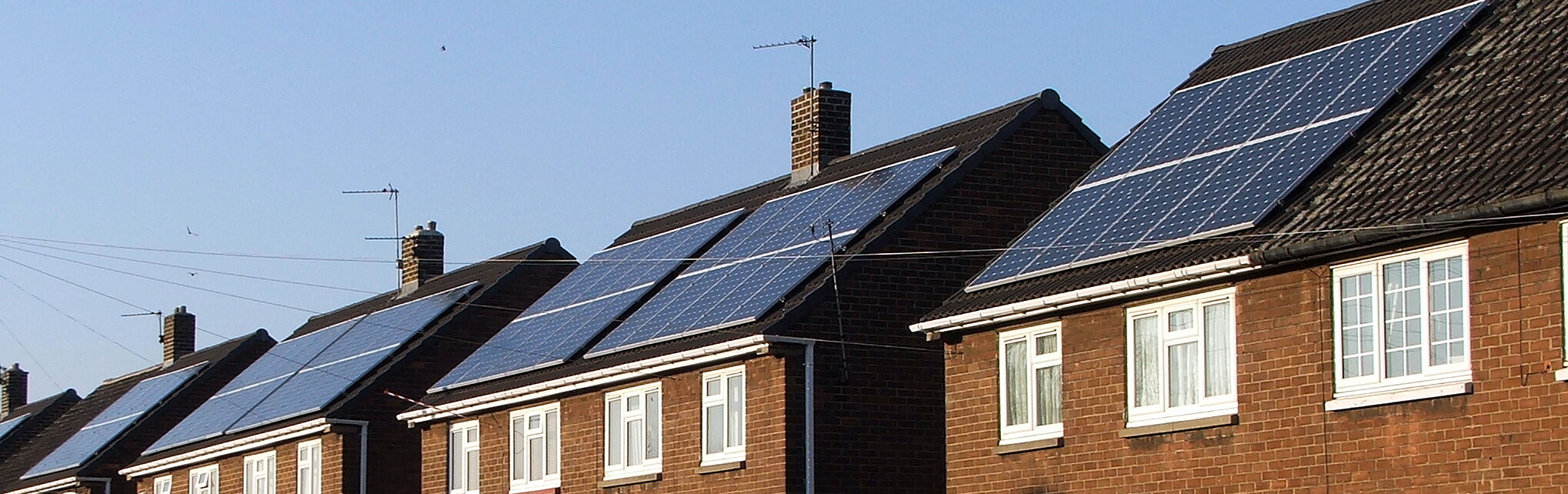 Zielony Ład na zakręcie